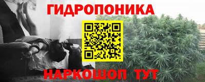 a pvp Уссурийск